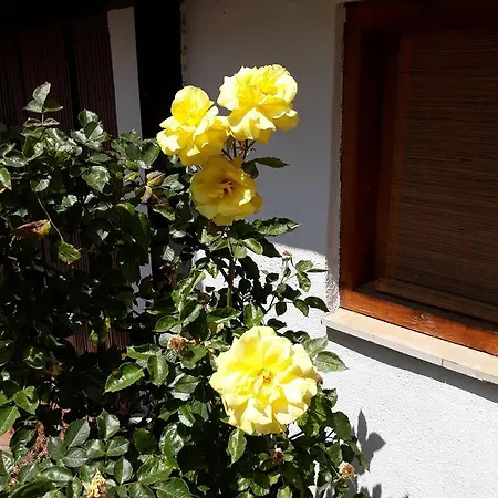 Szálloda La Resala San Matheu Sant Mateu