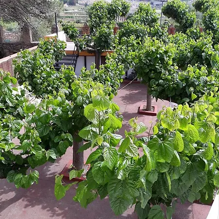 Hotel La Resala San Matheu